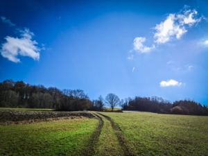 Auf Wiesenweg bergauf