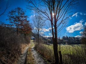 Der Weg nach Meuschlitz