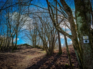 Rückweg in Richtung Lochautal