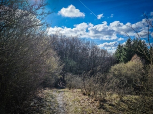 Dem Wiesenpfad folgen