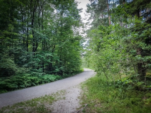 Auf breiten Schotterweg