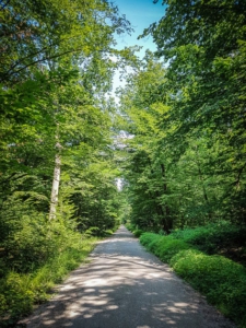 Schnurgerade in Nähe des Erlebnisparks