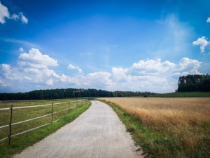 Weg über große Freifläche