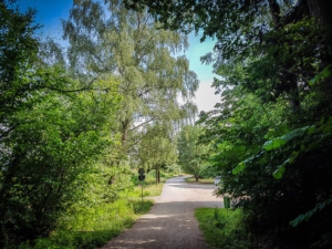 Wieder hinunter auf den Parkplatz