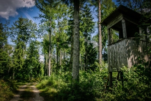 An Jägerhochsitz vorbei