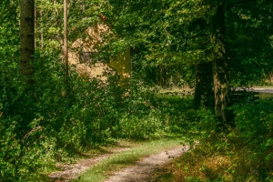 Weiterer Weg auf dem Plateau