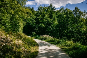 Lichter Weg am Hang entlang