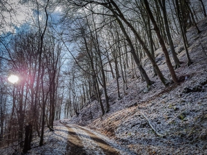 Raureif und Schnee weiter oben am Berg