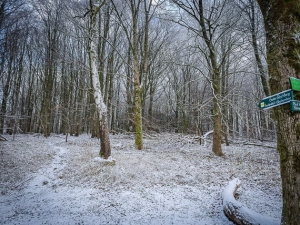 Zurück aufs Hochplateau