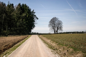 In Richtung Waldrand und Jura Solarpark