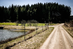 Weiher am Beginn des Paradiestals