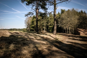 Weg auf das freie Hochplateau