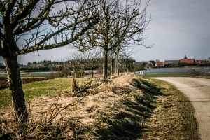 Rückweg in Richtung Stadelhofen