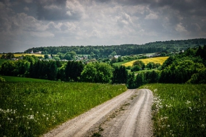 Über das Hochplateau