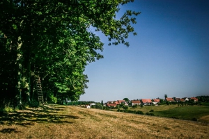 Blick nach Birkach