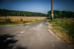 Die Landstraße überqueren