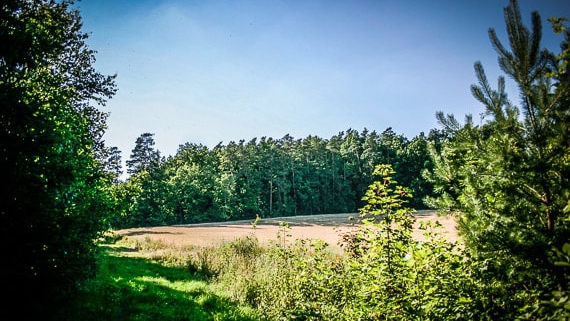 Wandern auf stillen Wegen bei Frankfurt im Steigerwald