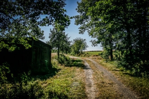 An Holzschuppen vorbei