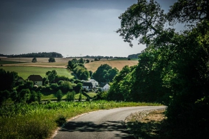 Wieder hinunter nach Frankfurt im Steigerwald