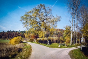 Weggabelung außerhalb von Kersbach