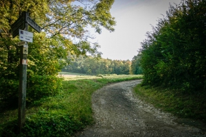 Höhenweg biegt nach rechts Höhenweg biegt nach rechts ab