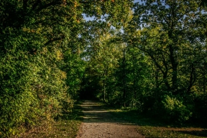 Weg an der Hochplateau Kante