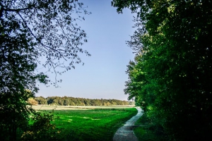 Weg nahe dem Alten Staffelberg