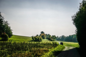 Links freie Fläche - rechts Waldrand