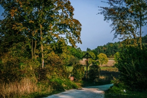 Weg vom Staffelberg nach Romansthal