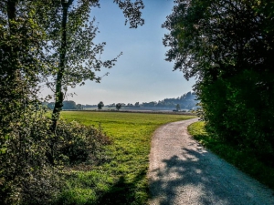 Erneut kurz an Waldrand entlang