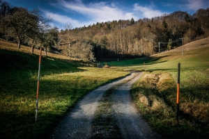 Weiter hinten im Pfauengrund Tal