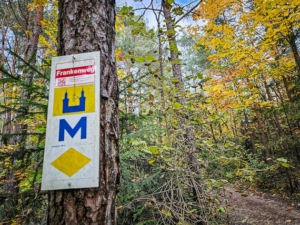 Unter anderem dem Mainwegweiser hoch auf den Großen Kordigast folgen