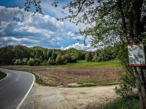 Außerhalb von Strahlenfels rechts abbiegen