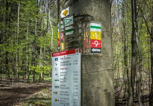 Großer Wegweiser an Baum