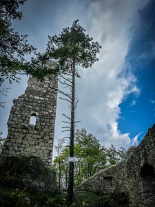 Ruine Wildenfels ragt auf