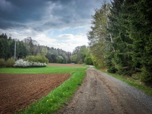 Rückweg erneut durch ein langes Tal