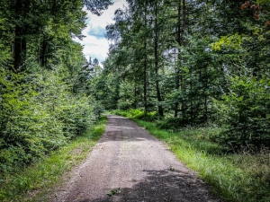 Auf breitem Schotterweg bergab