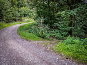 In der Kurve nach rechts unten abbiegen