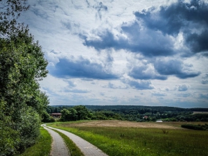 Weg an Hecke entlang