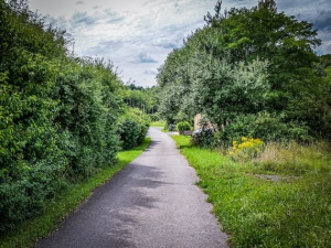 Weg zwischen Hecken bergab