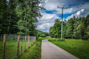 Gepflasterter Weg nach Lußberg durch den Lautergrund