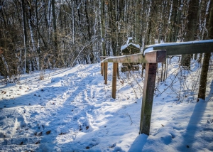 Geländer am Weg bergab