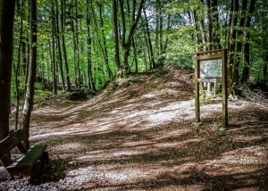 Informationstafel zur Burg Hollenberg