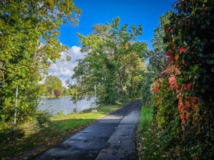 Befestigter Weg am Main entlang