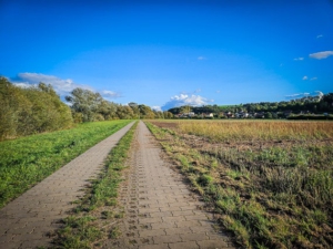 Gepflasterter Weg