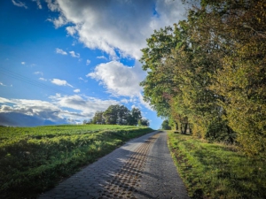 Oberhalb von Eschenbach wartet rechts hinter dieser Hecke eine Kapelle