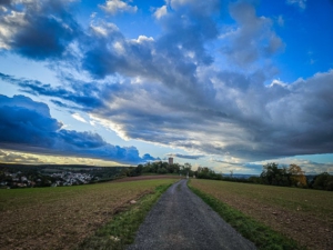 Höhenweg und Endspurt zur Wallburg Eltmann