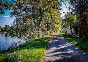 Befestigter Weg am Main entlang