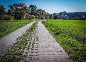 Gepflasterter Weg