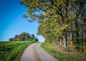 Oberhalb von Eschenbach